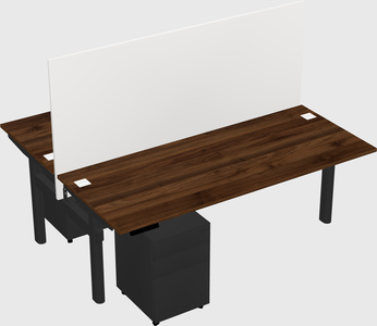 Shared electric desk
