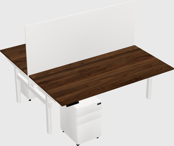 Shared electric desk