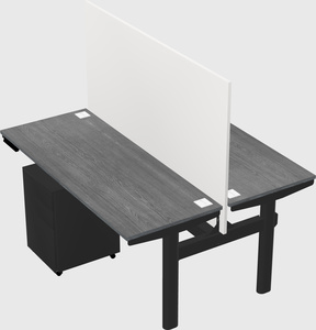 Shared electric desk