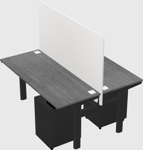 Shared electric desk