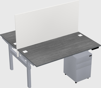 Shared electric desk