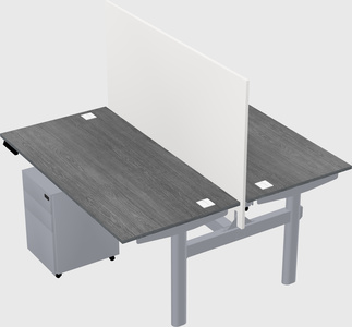 Shared electric desk