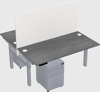 Shared electric desk