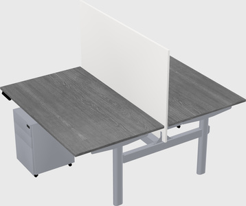 Shared electric desk