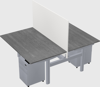 Shared electric desk