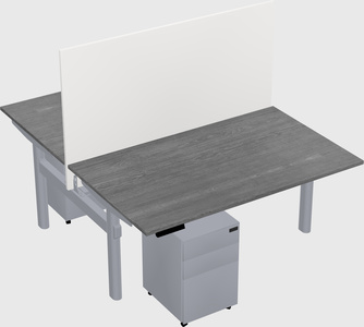 Shared electric desk