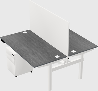 Shared electric desk