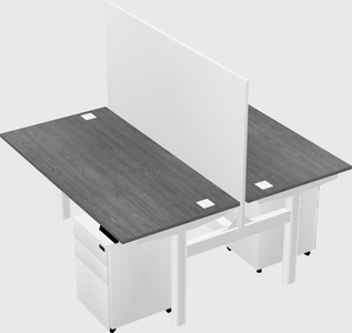 Shared electric desk
