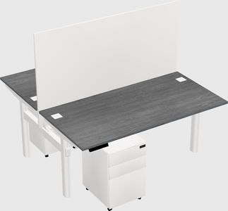 Shared electric desk