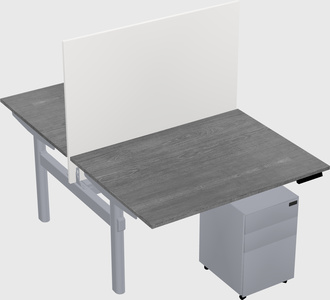 Shared electric desk