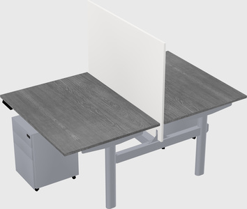 Shared electric desk
