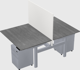 Shared electric desk