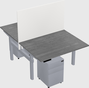 Shared electric desk