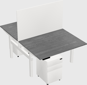 Shared electric desk