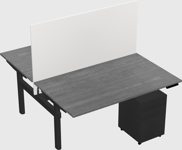 Shared electric desk