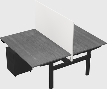 Shared electric desk