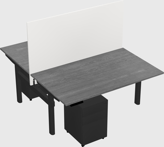 Shared electric desk