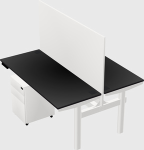 Shared electric desk