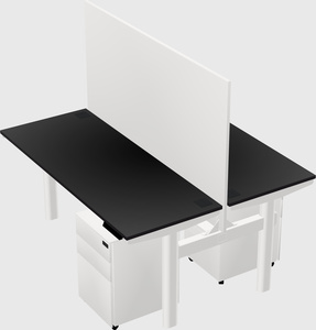 Shared electric desk