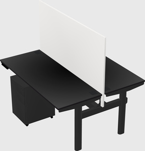 Shared electric desk