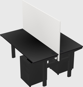 Shared electric desk