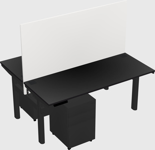 Shared electric desk