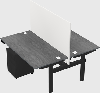 Shared electric desk