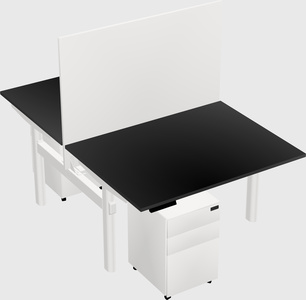 Shared electric desk