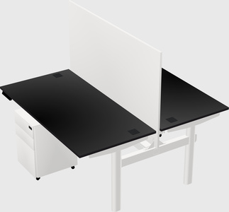 Shared electric desk