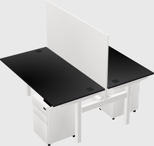 Shared electric desk