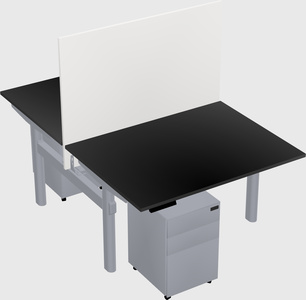 Shared electric desk