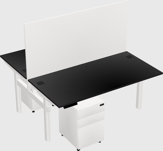 Shared electric desk