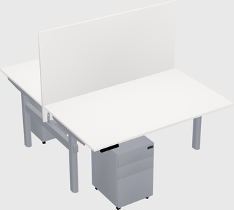 Shared electric desk