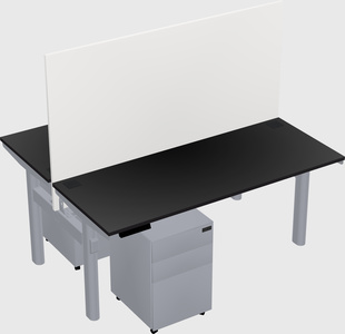Shared electric desk