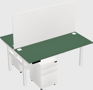Shared electric desk