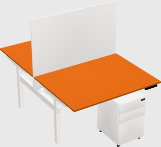 Shared electric desk