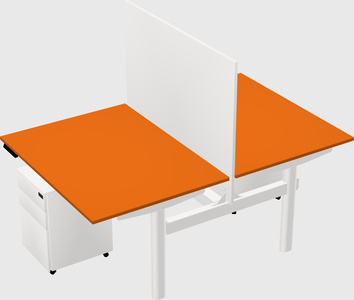 Shared electric desk