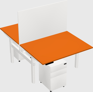 Shared electric desk