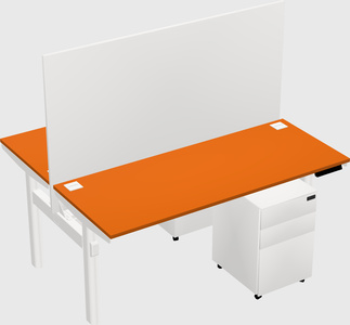 Shared electric desk