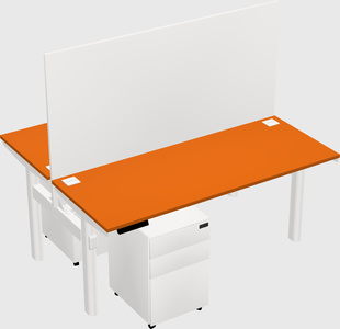 Shared electric desk