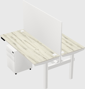 Shared electric desk