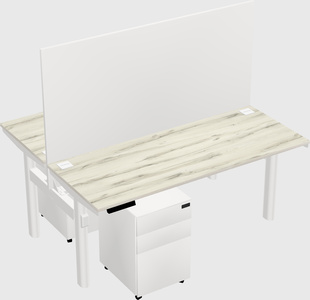 Shared electric desk