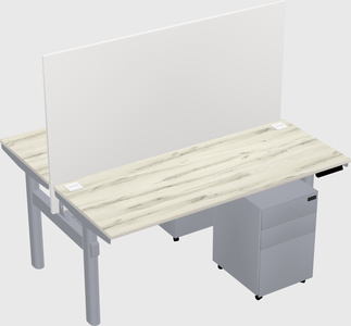 Shared electric desk
