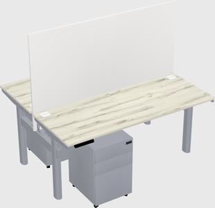 Shared electric desk