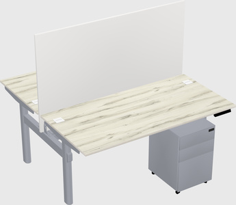 Shared electric desk