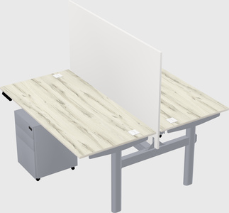 Shared electric desk