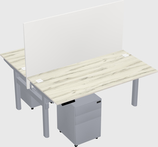 Shared electric desk