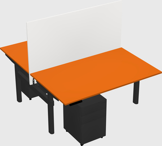 Shared electric desk