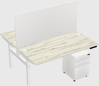 Shared electric desk