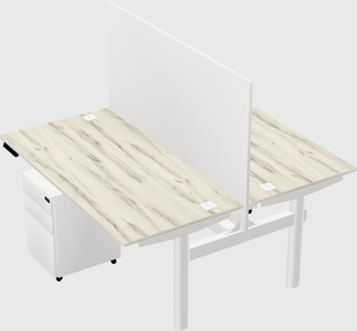 Shared electric desk